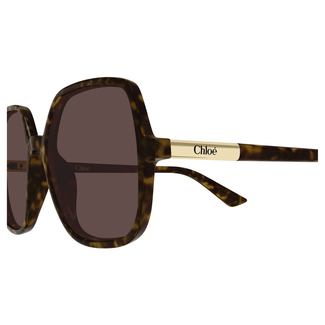 Chloé Bold Oversized Square Sunglasses In Tortoiseshell Pattern