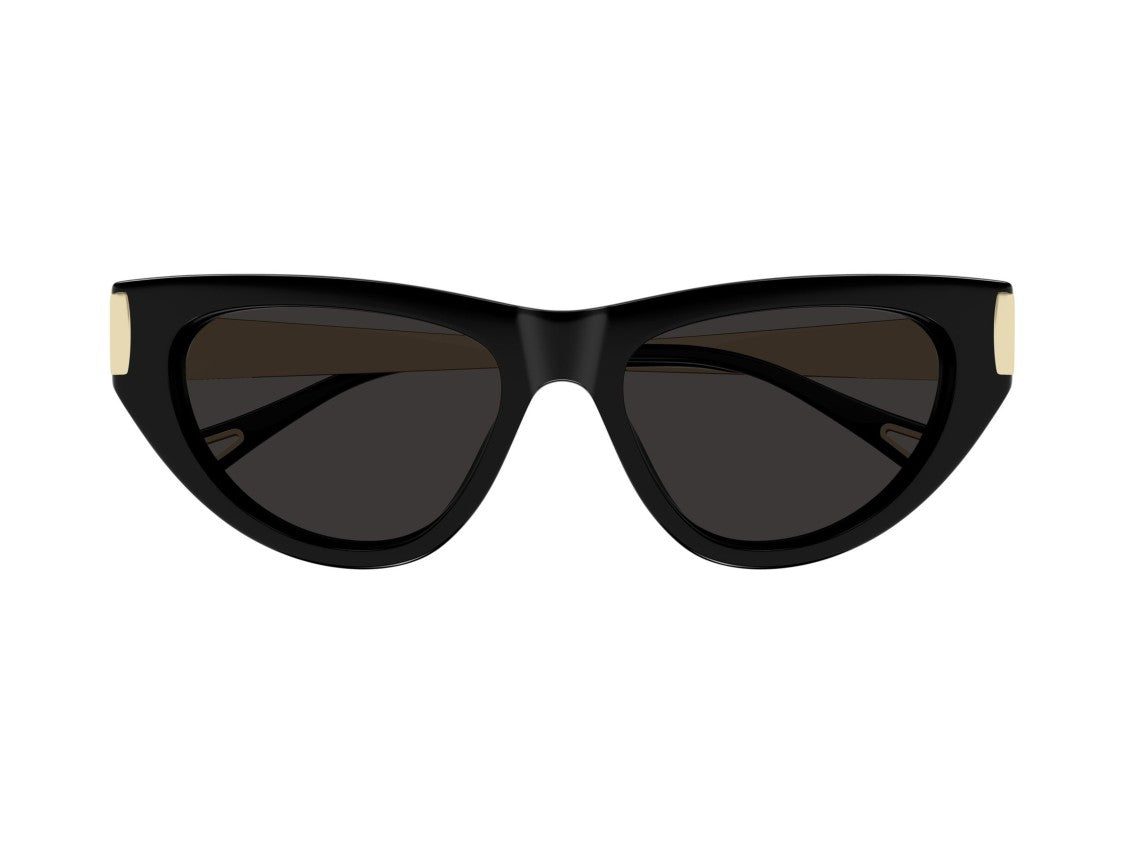 Chloé Black Ch0350s Cat-Eye Sunglasses