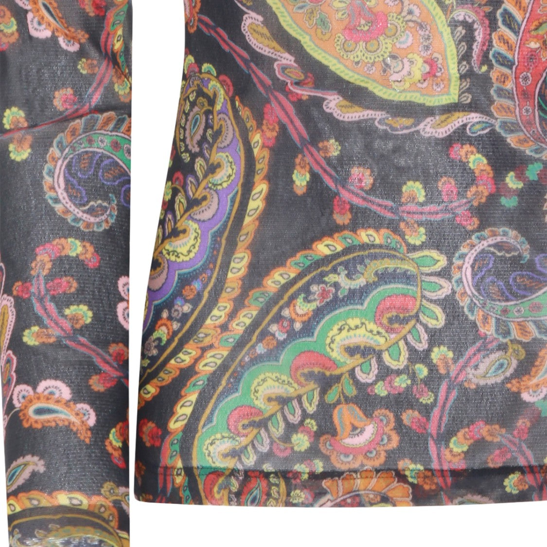 Etro Fitted Long-Sleeved Top With Paisley Pattern