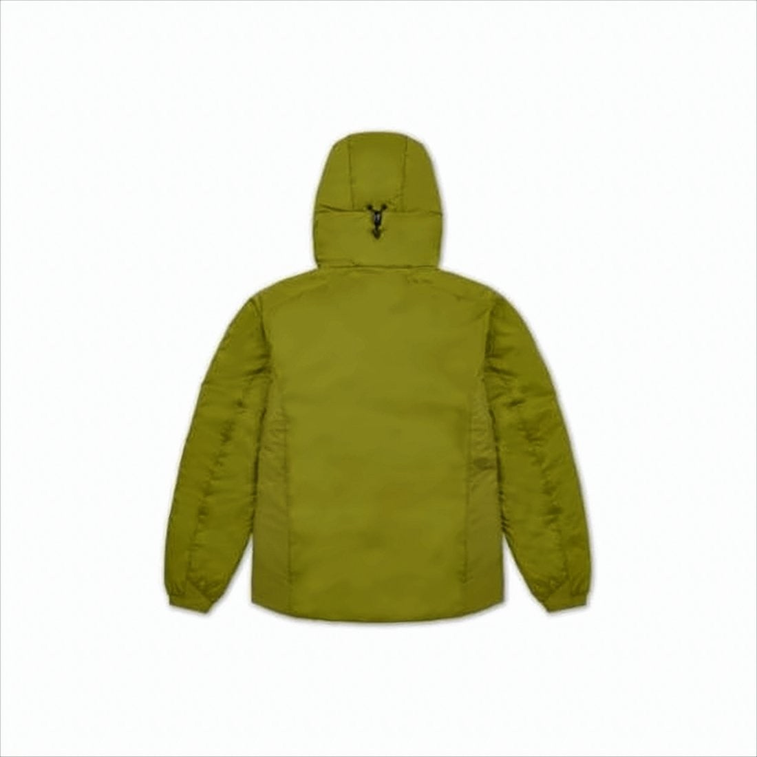 Arc'teryx Solid Olive Green Jacket With Adjustable Hood