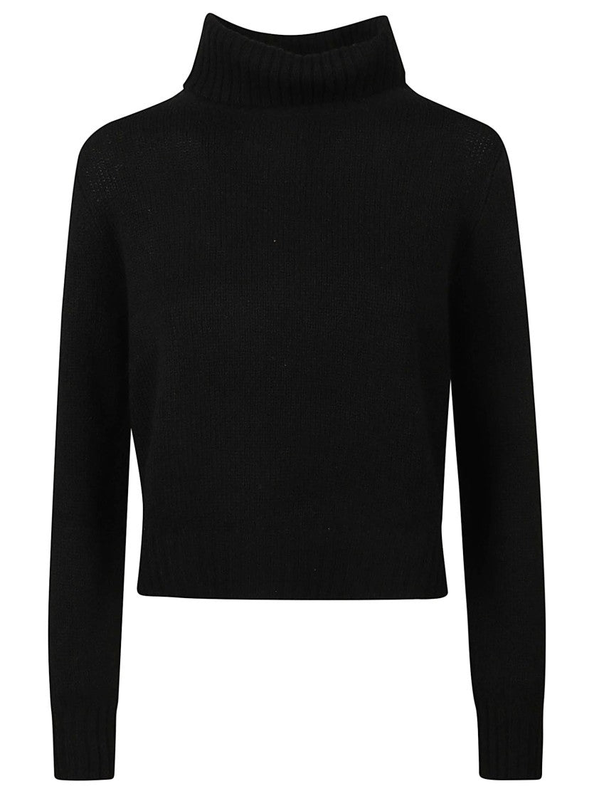Be You Cropped Turtleneck Sweater With Ribbed Neckline And Fitted Silhouette
