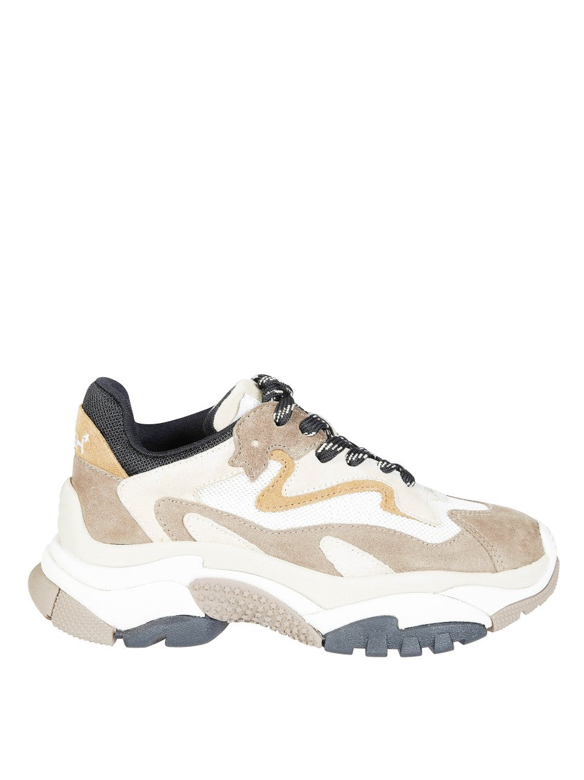 Ash Chunky Suede Mesh Sneakers