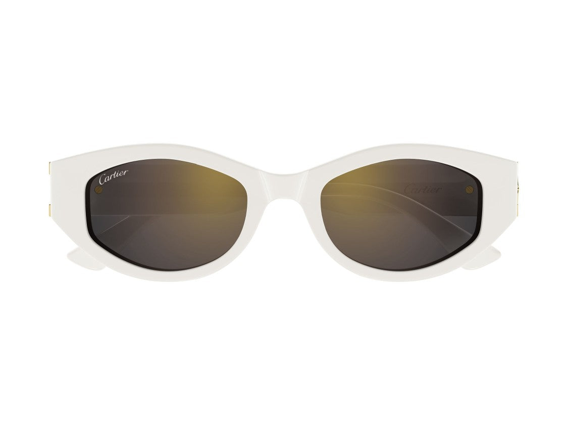 Cartier Ct0667s Bold Oversized Acetate Sunglasses
