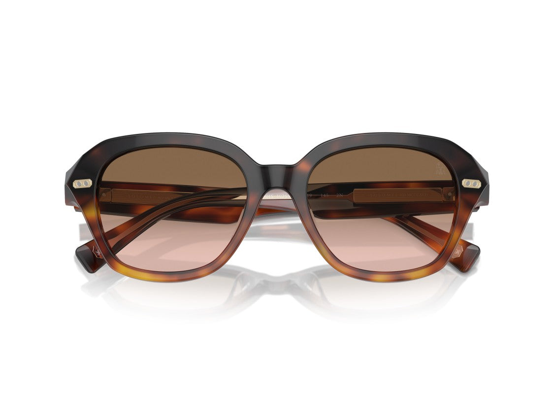 Brunello Cucinelli Gold 0Bc4004s Tortoiseshell Acetate Oversized Square Sunglasses