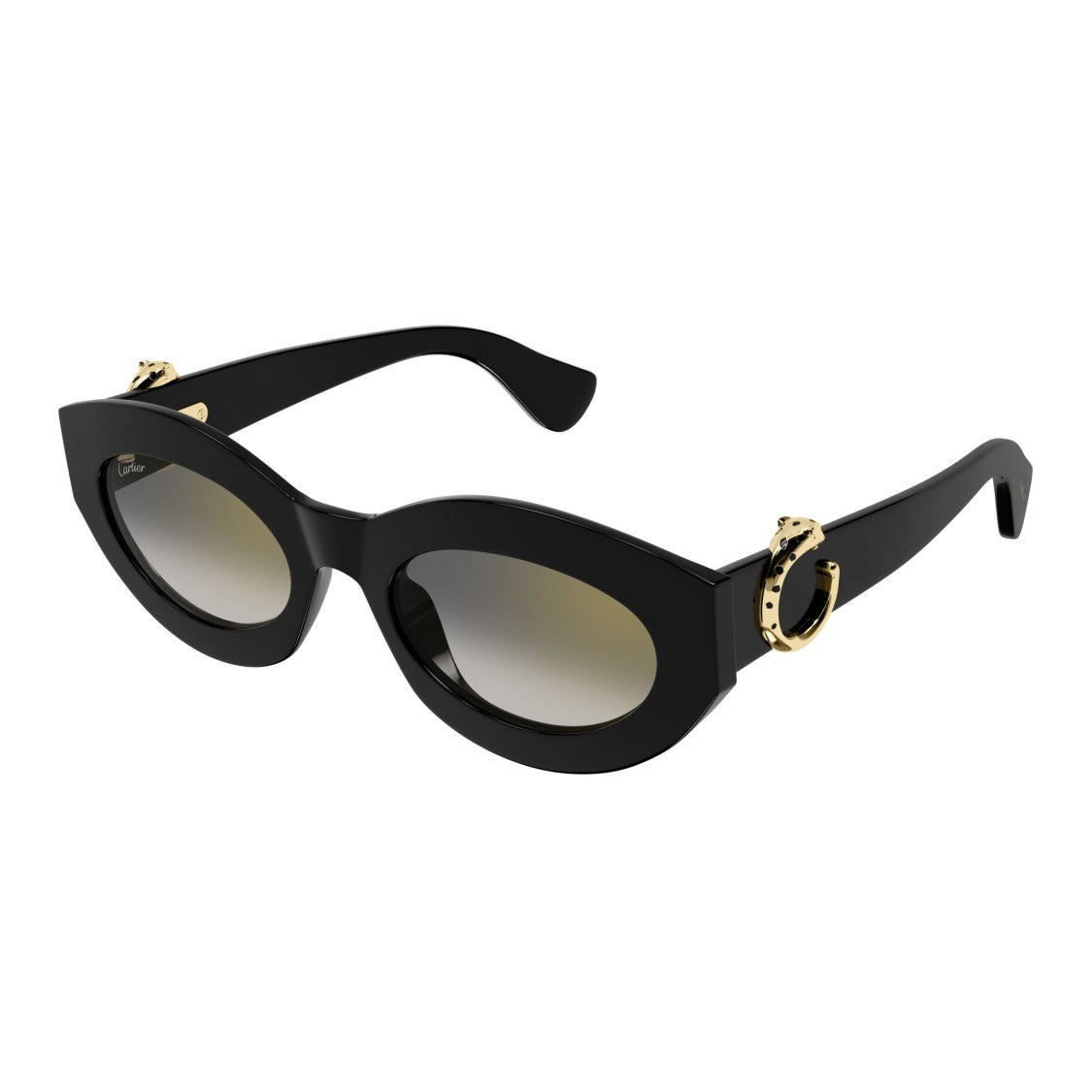 Cartier Ct0638s Cat-Eye Sunglasses With Gold-Tone Embellishments