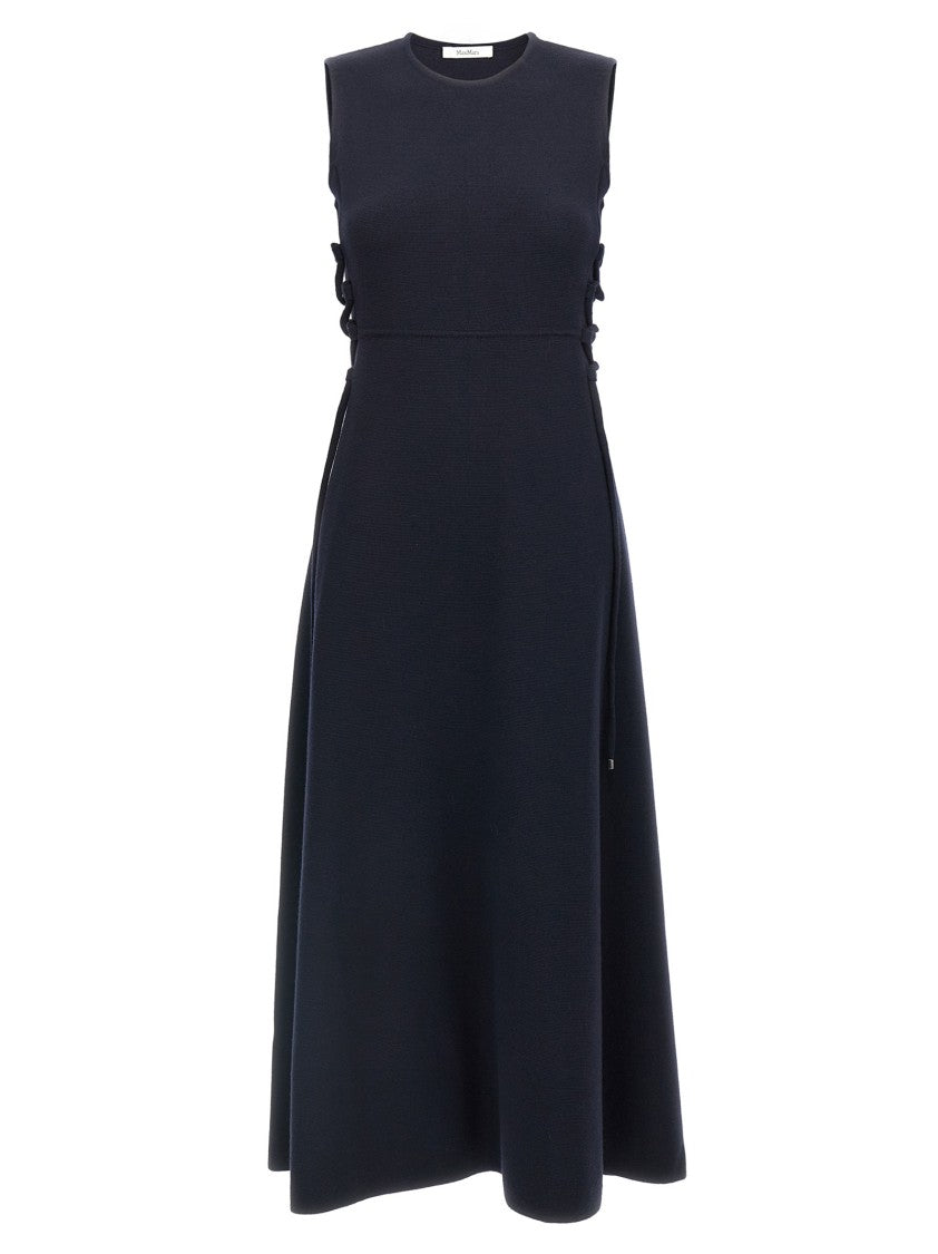 Max Mara Delfi Dress
