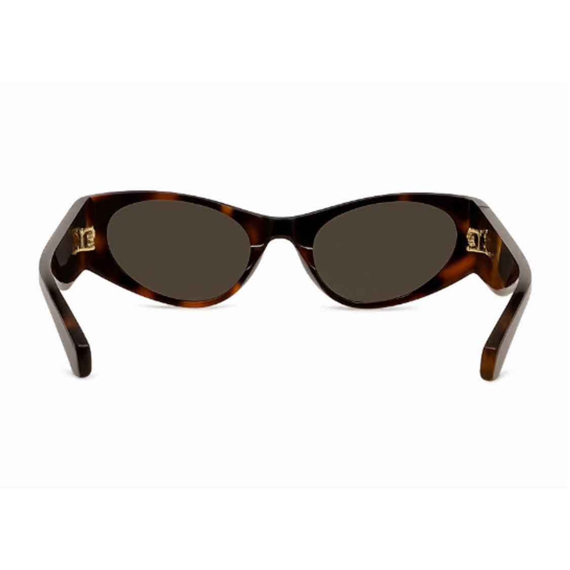 Loewe Havana Retro Oval Acetate Sunglasses