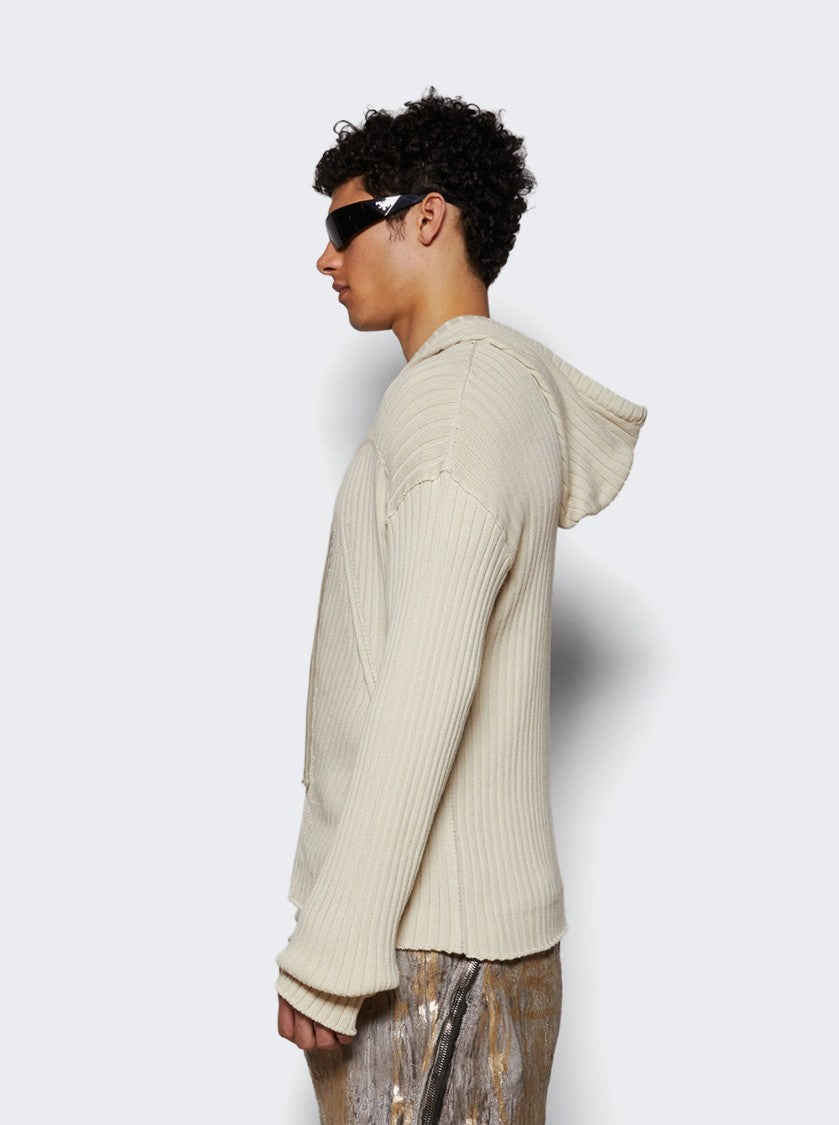 Rick Owens Zipped Hoodie Sweater Dinge