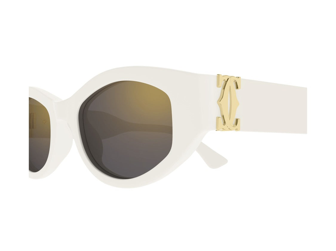 Cartier Ct0667s Bold Oversized Acetate Sunglasses