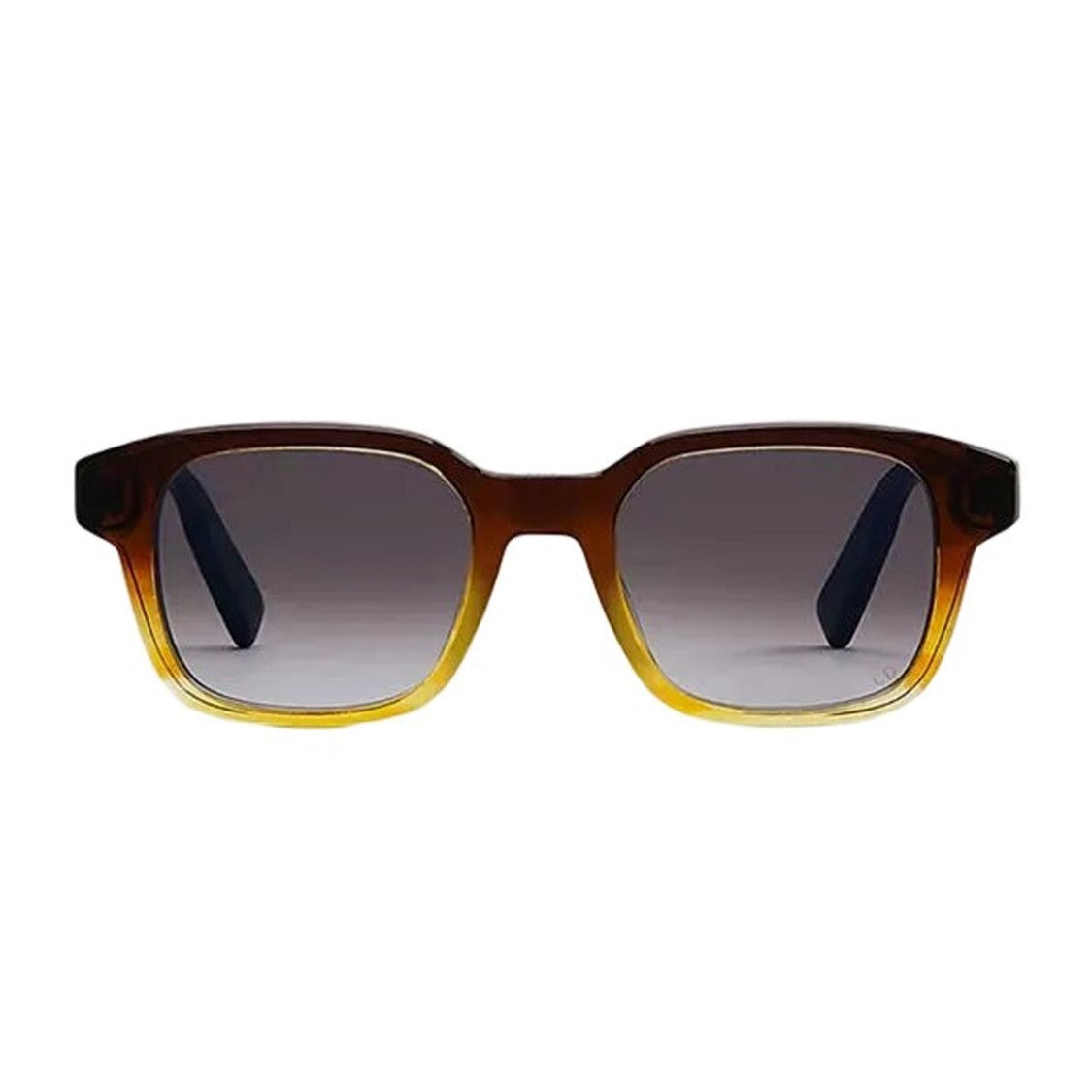Dior Dioribbon S1i Rectangular Havana Gradient Sunglasses