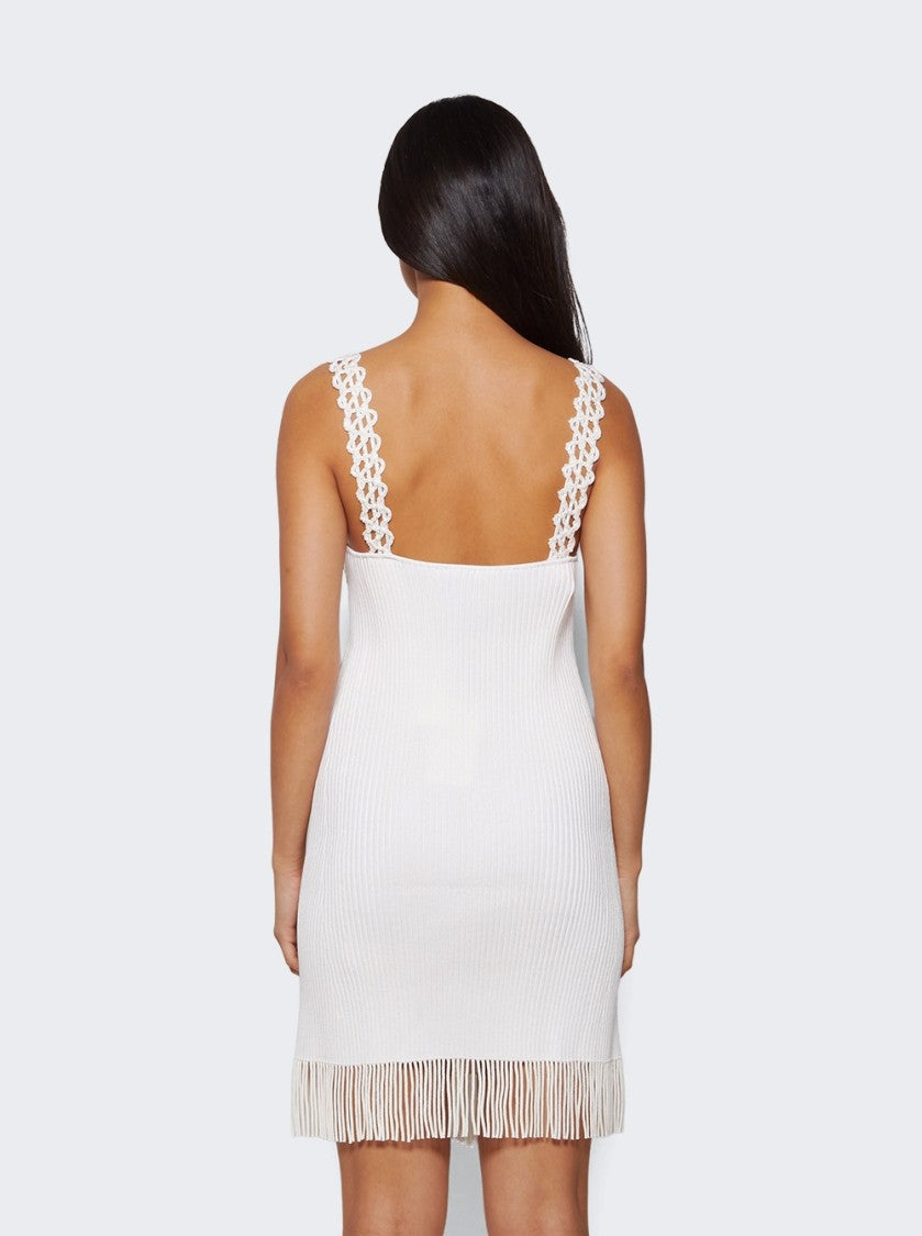 Proenza Schouler Rib Knit Lace Dress
