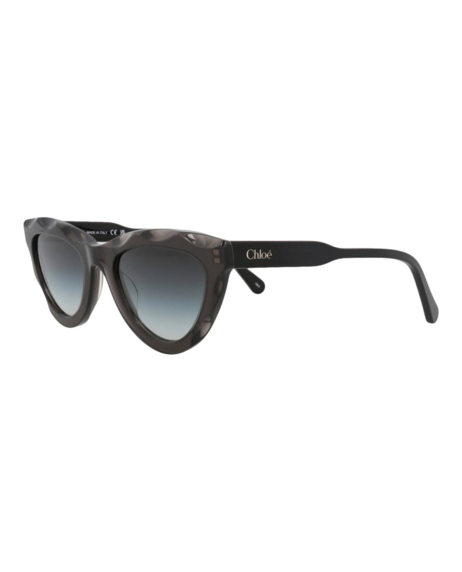 Chloé Cat Eye-Frame Recycled Acetate Sunglasses