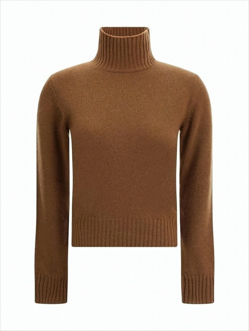 Ami Ribbed High-Neck Cropped Sweater In Rich Brown