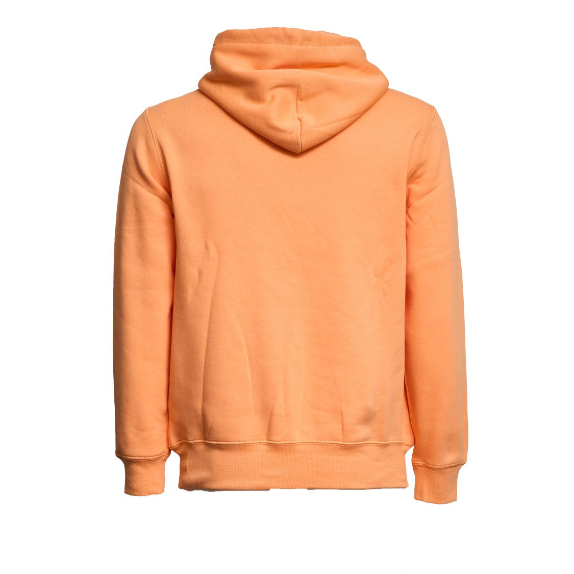 Polo Ralph Lauren Polo Bear Printed Drawstring Hoodie