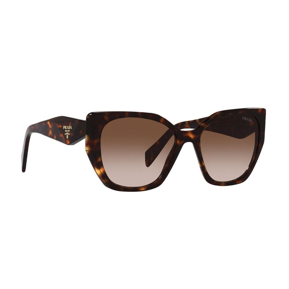 Prada Pr19zs Symbole Oversized Square Havana Acetate Sunglasses