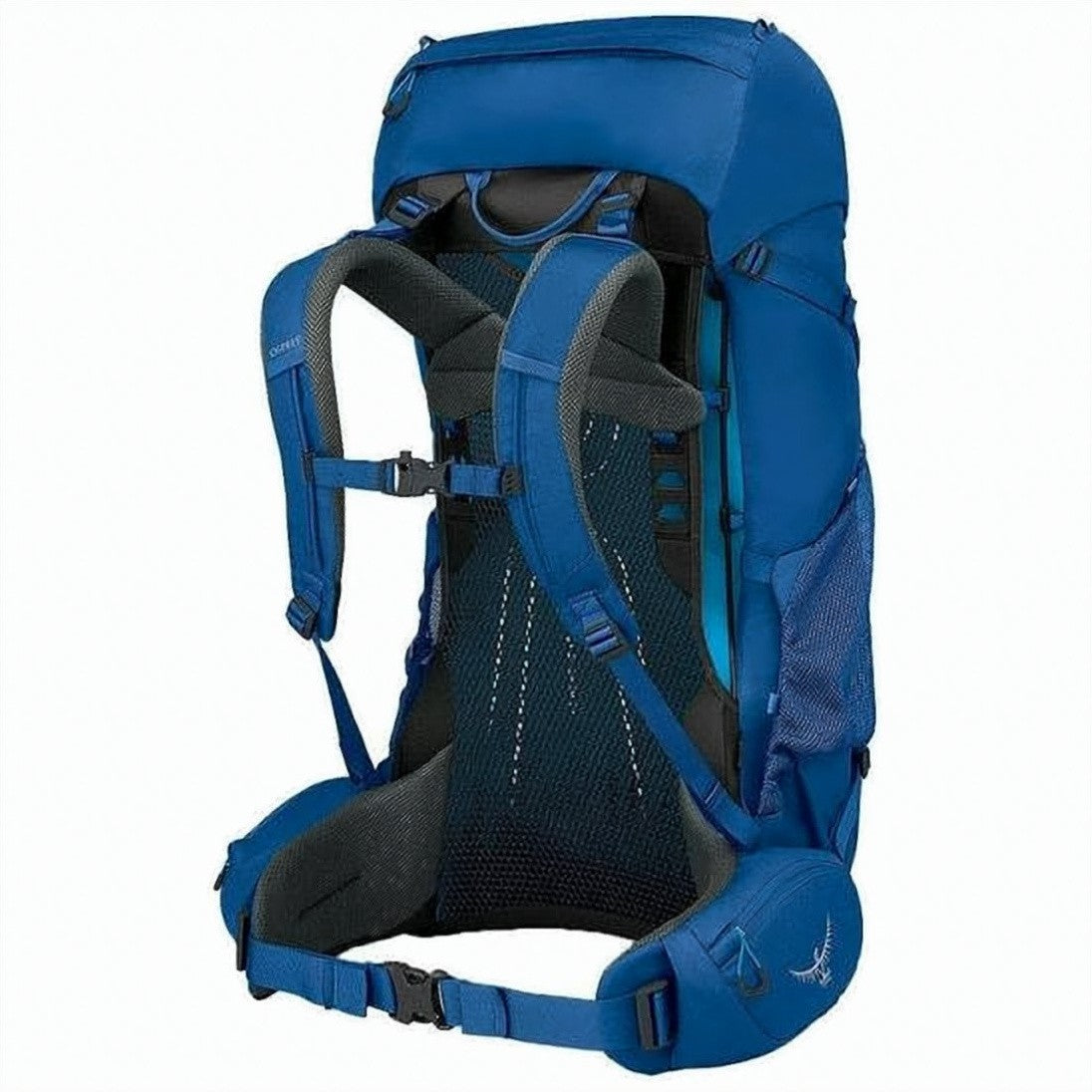 Osprey Large Structured Outdoor Backpack