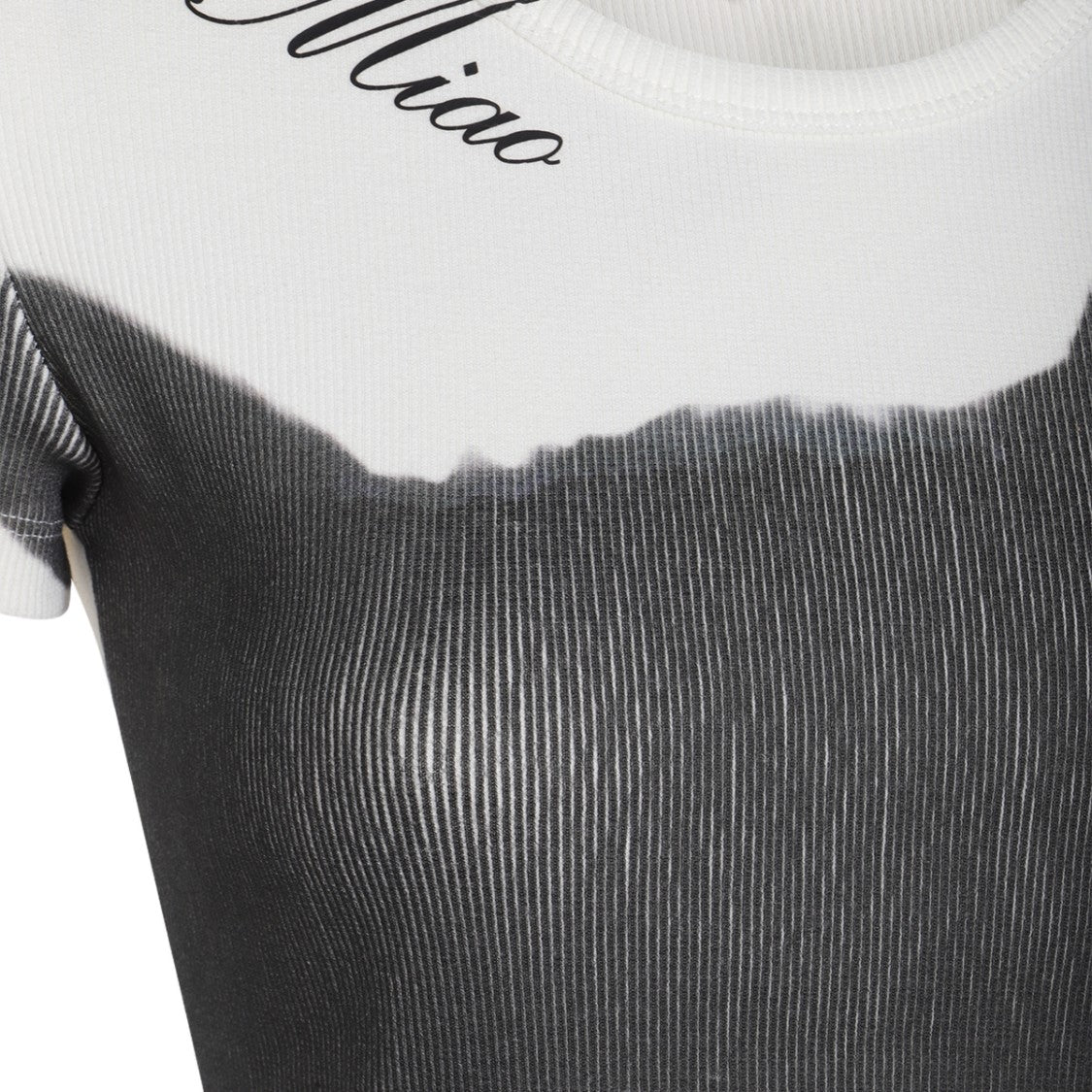 Blumarine Graphic Print Fitted T-Shirt With Ribbed Neckline
