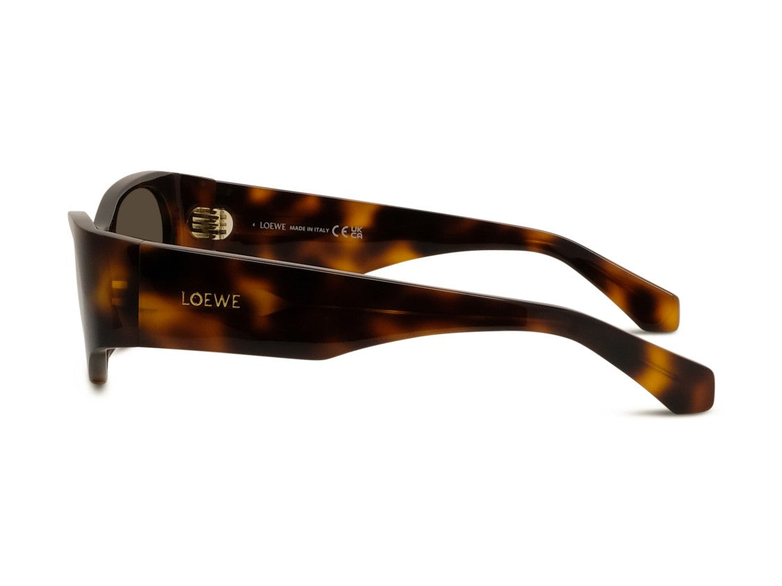 Loewe Lw40196u Bold Cat-Eye Tortoiseshell Acetate Sunglasses