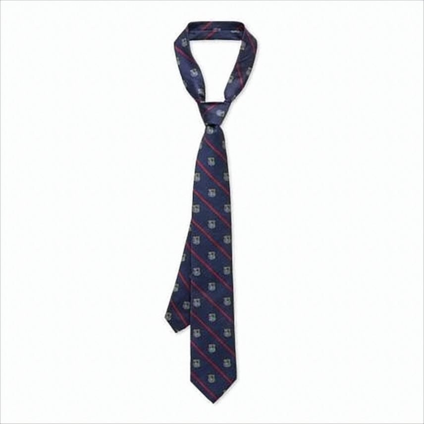 Polo Ralph Lauren Silk Necktie With Navy Base