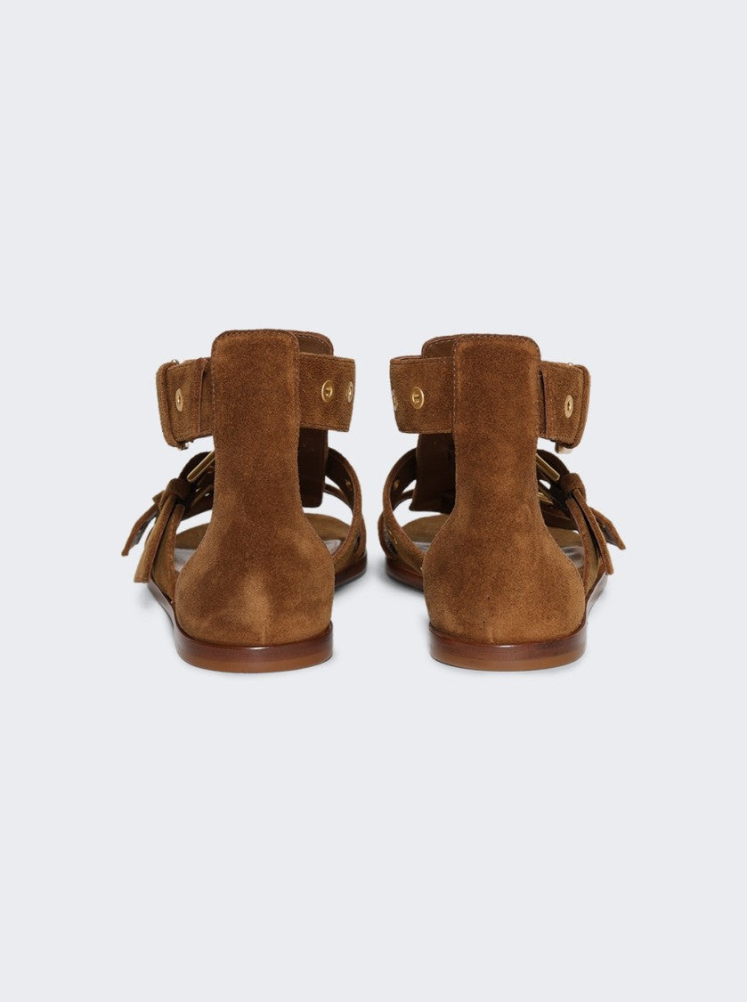 Gianvito Rossi Buckle Sandals Texas
