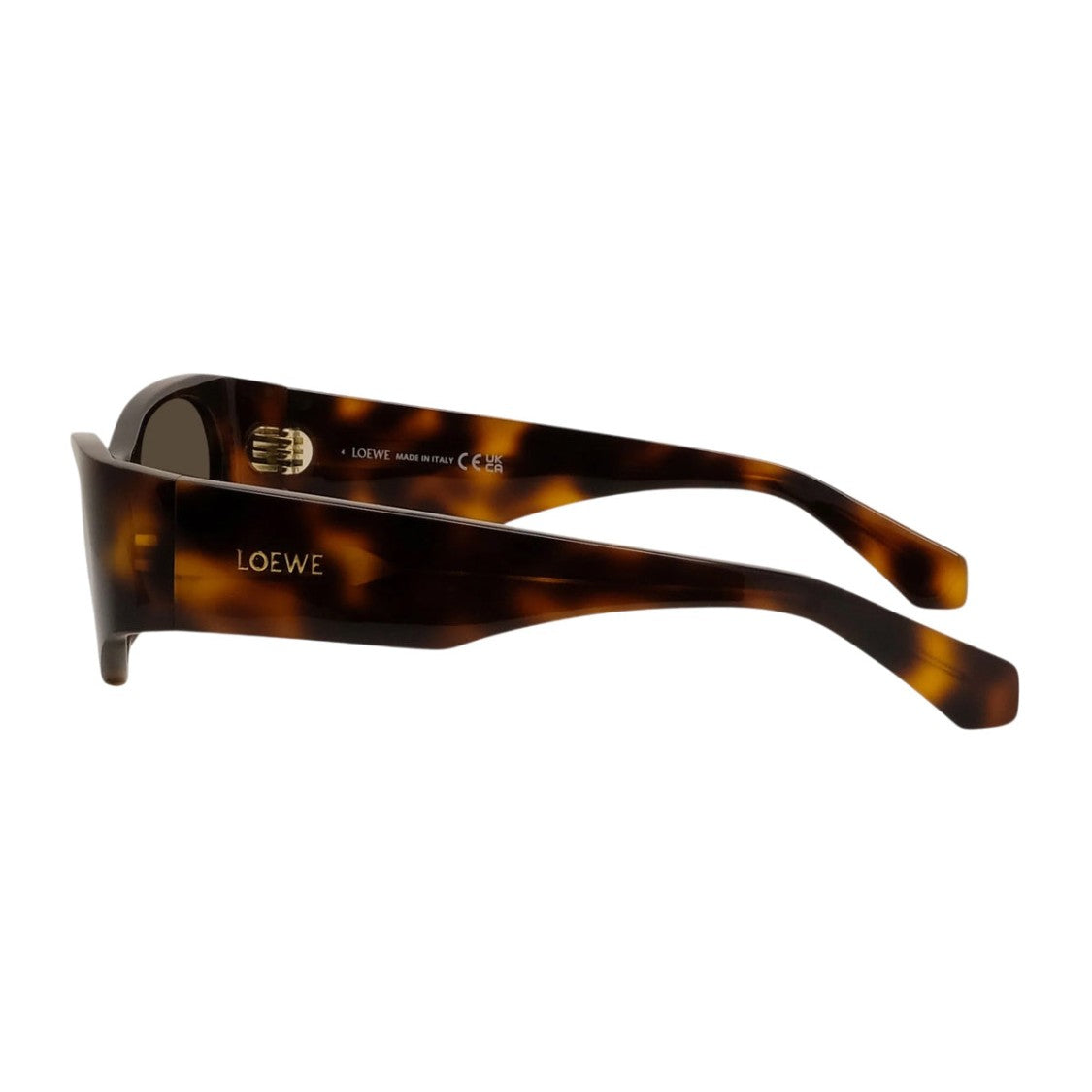 Loewe Havana Retro Oval Acetate Sunglasses