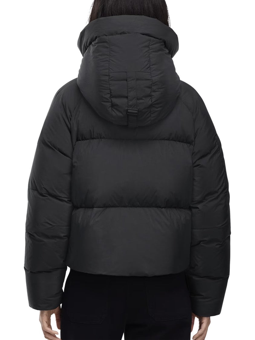Canada Goose Chilliwack Puffer - Td Cropped Hooded Black Puffer Jacket