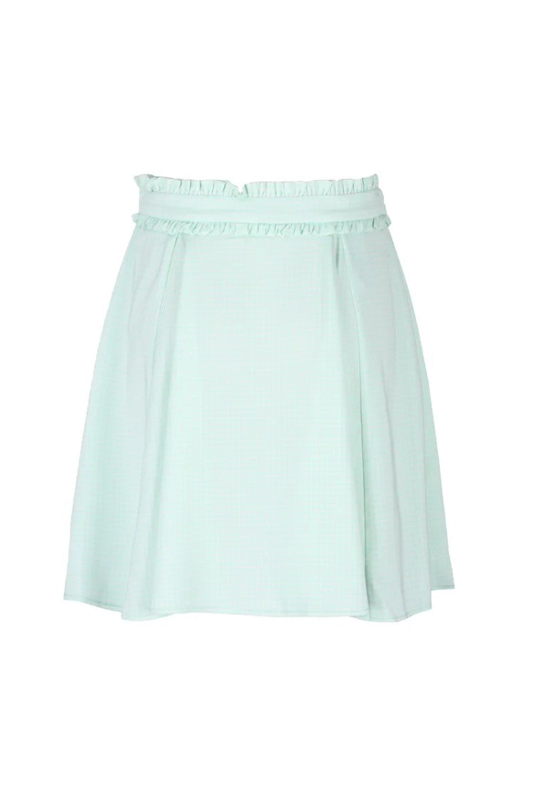 Elisabetta Franchi A-Line Skirt - Aquamarine