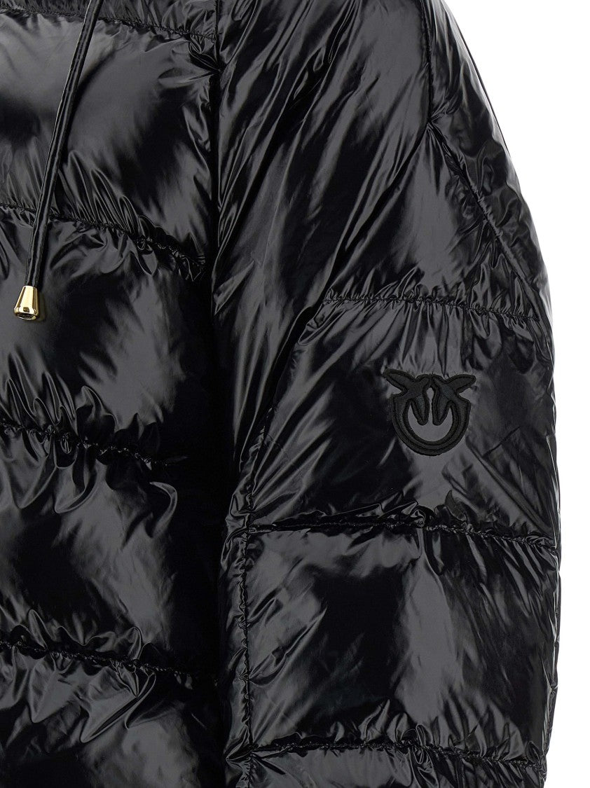 Pinko 'Burro' Down Jacket
