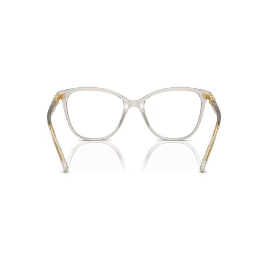 Swarovski 0Sk2020 Translucent Cat-Eye Sunglasses