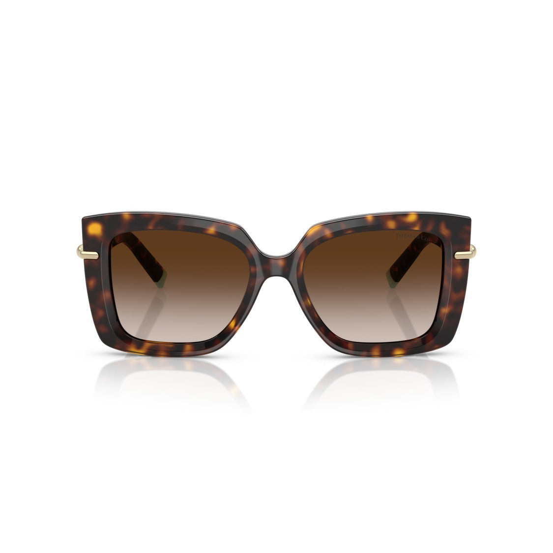Tiffany & Co. 0Tf4199 Oversized Tortoiseshell Square Sunglasses