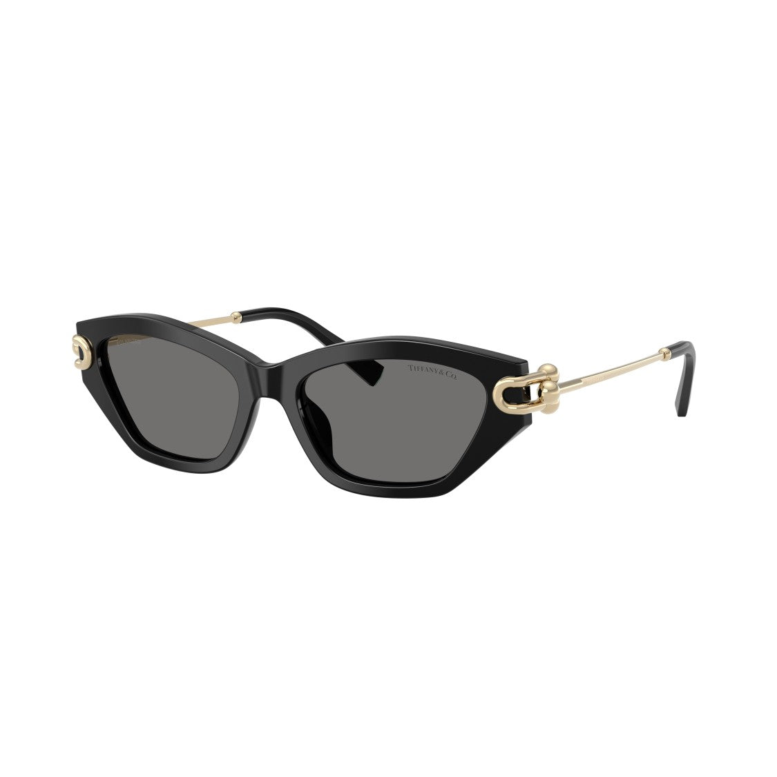 Tiffany & Co. 0Tf4231u Cat-Eye Sunglasses