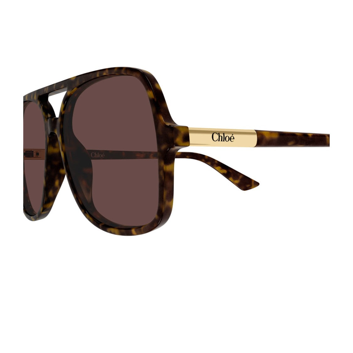 Chloé Havana Ch0364s Oversized Acetate Aviator Sunglasses