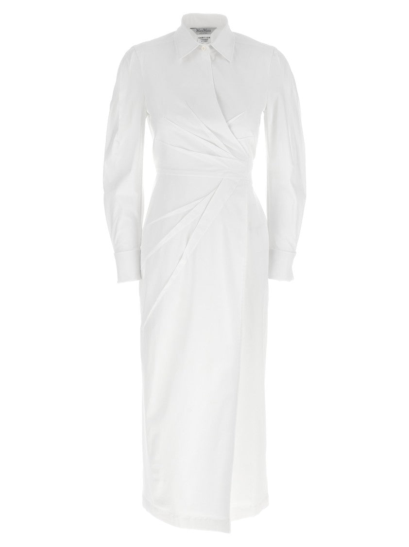 Max Mara 'Balzac' Dress