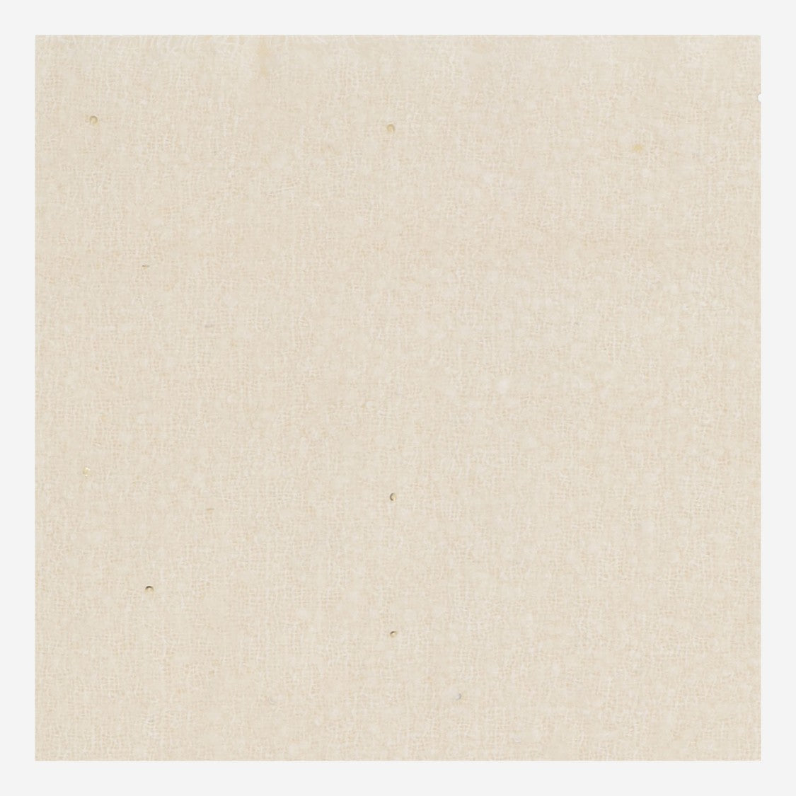 Faliero Sarti Altea Wool Blend Scarf With Sequins