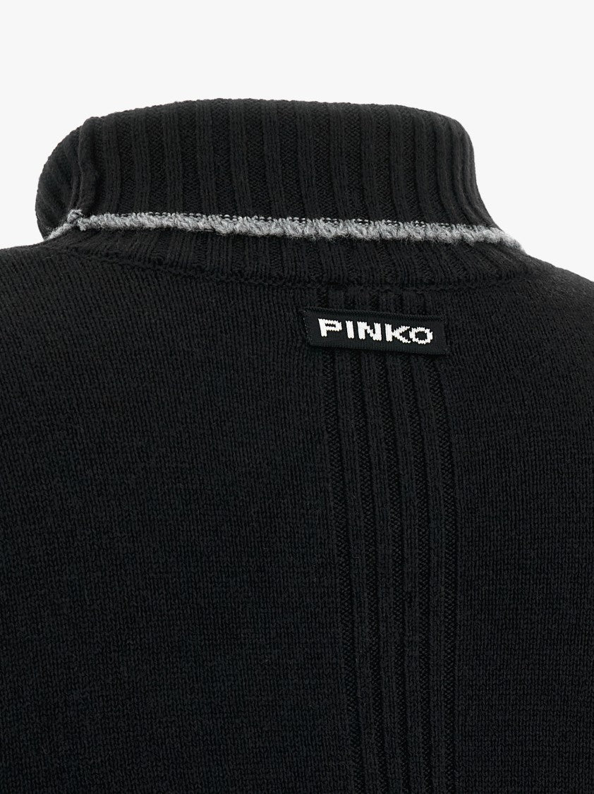 Pinko Falkland' Turtleneck Sweater