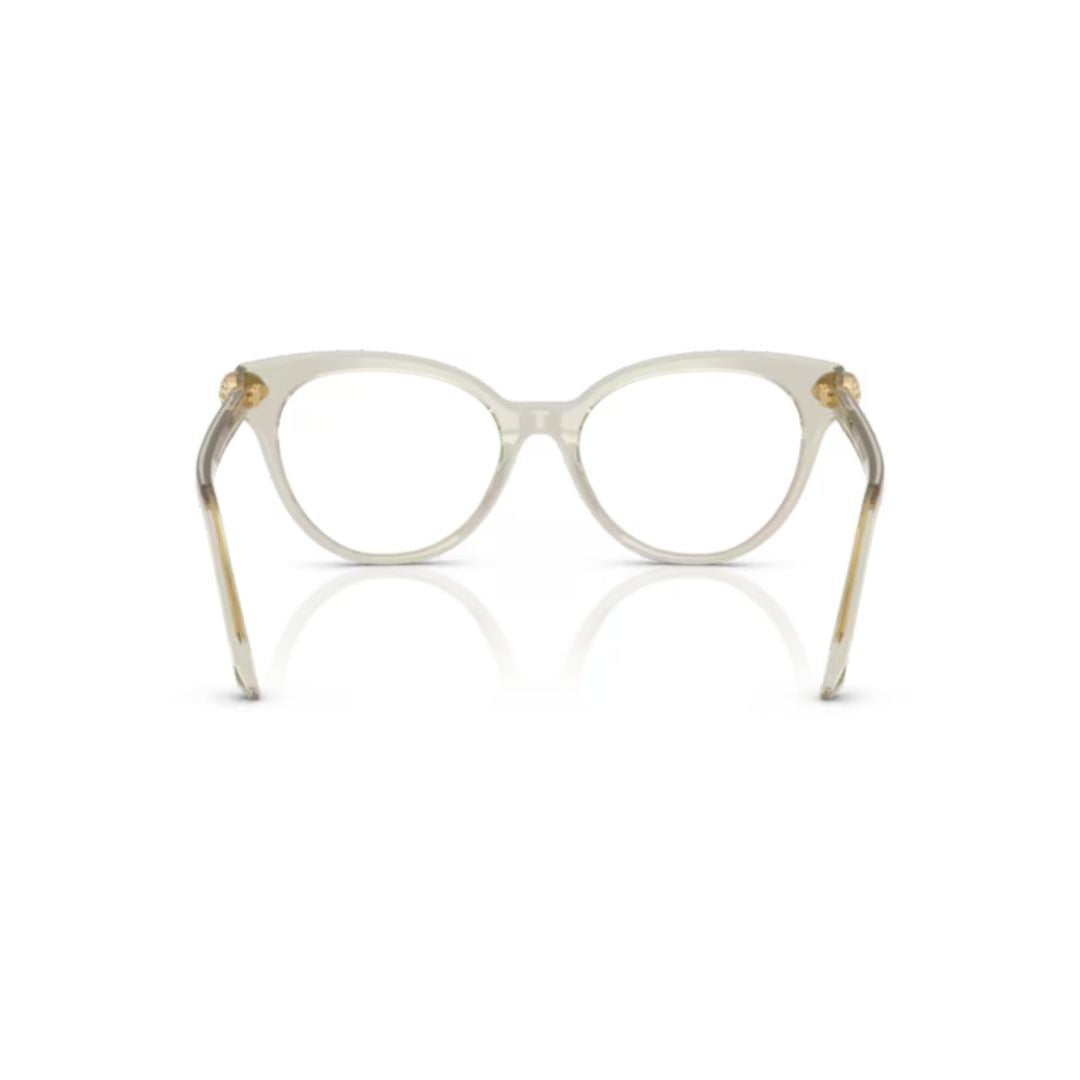 Swarovski 0Sk2046 Translucent Acetate Cat-Eye Sunglasses