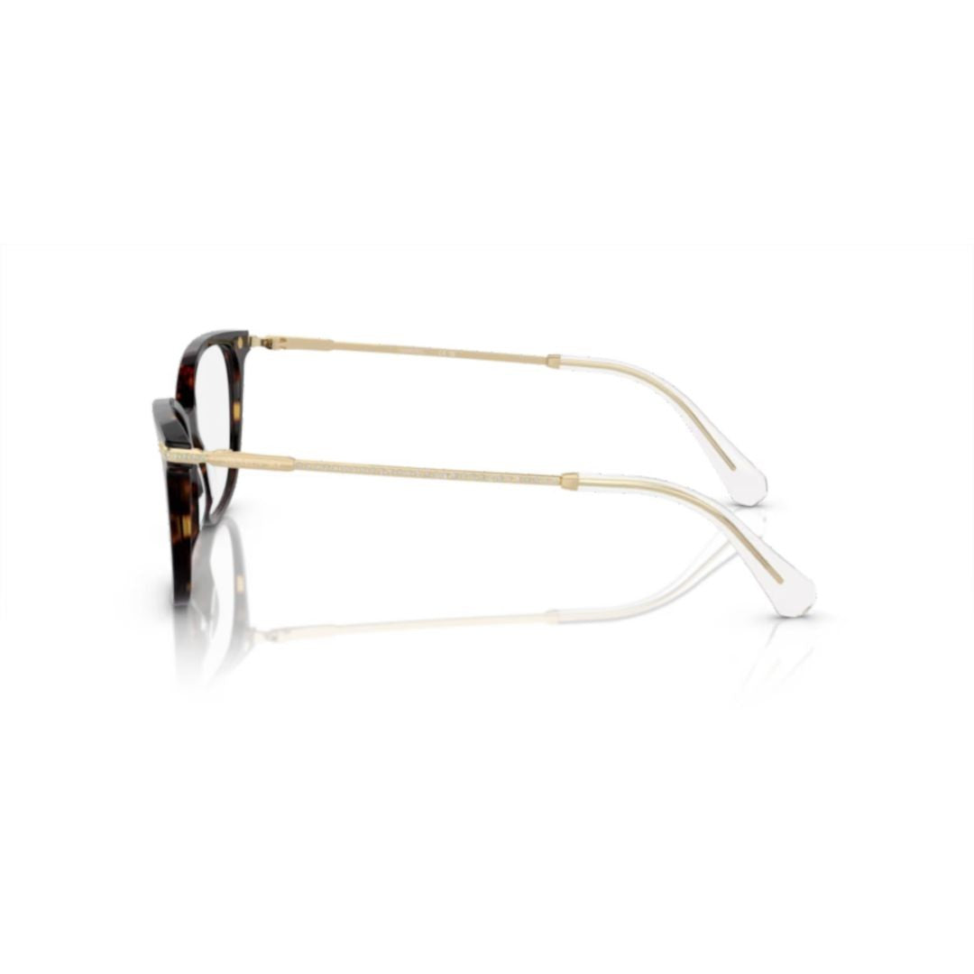 Swarovski 0Sk2010 Cat-Eye Tortoiseshell Acetate Sunglasses