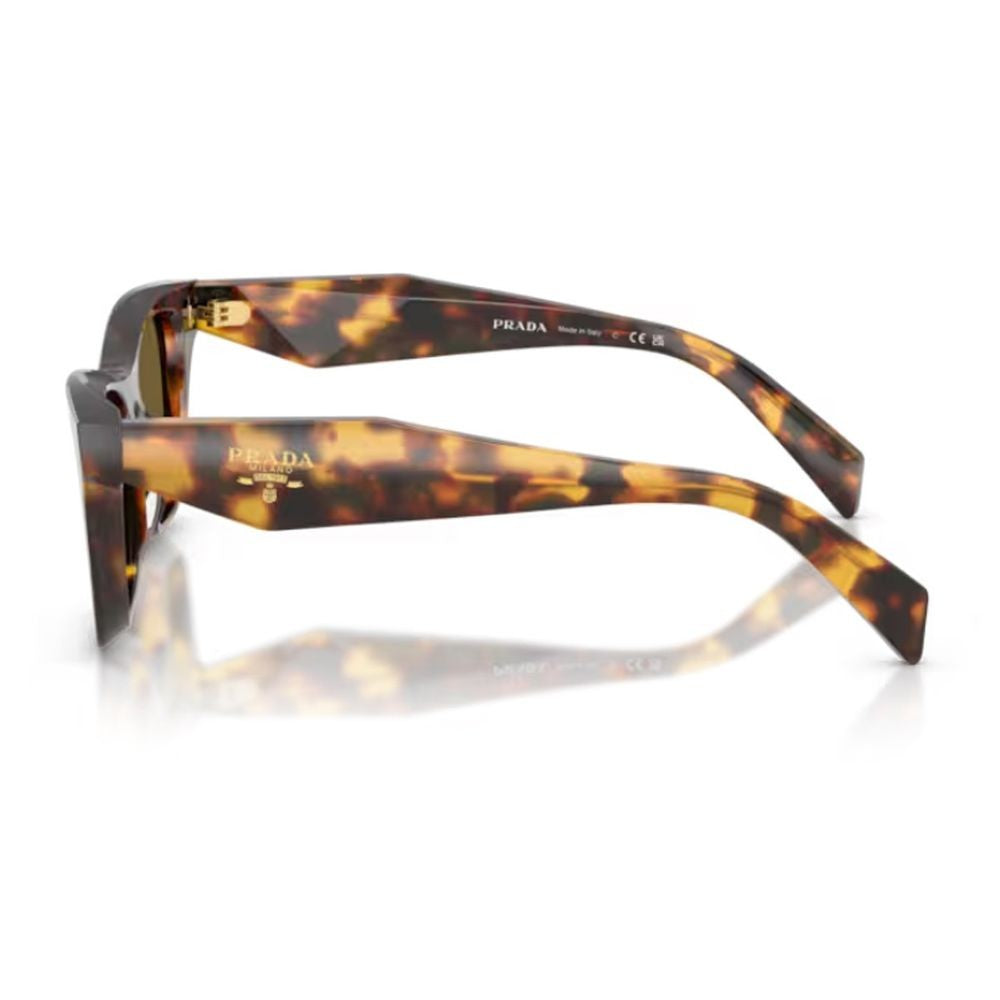 Prada Pr C07s Square Honey-Tortoiseshell Acetate Prada Sunglasses