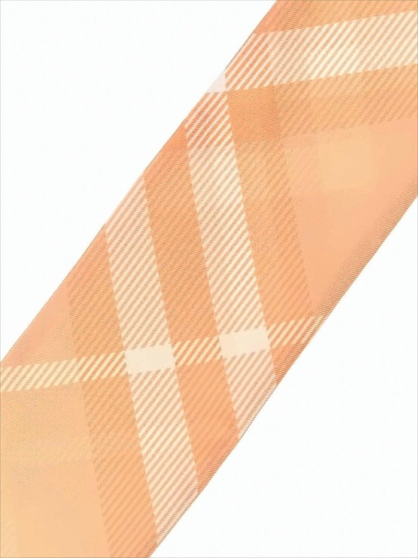 Burberry Silk Elongated Scarf