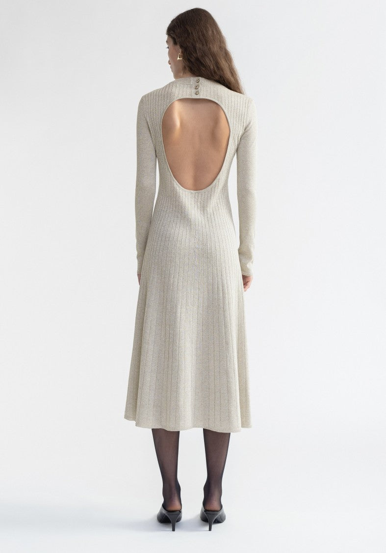 Aeron Pavlova - Sparkly Ribbed Midi Dress