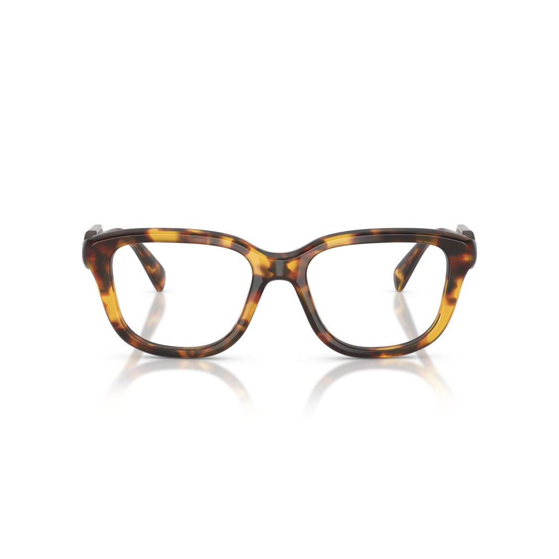 Miu Miu 0Mu 02Zv Oversized Square Tortoiseshell Frame Miu Miu Eyeglasses