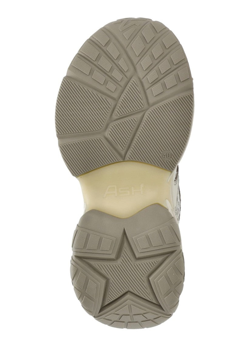 Ash Beige Dragon Suede Inserts Sneakers