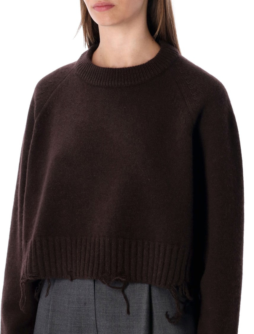 Low Classic Damaged Wool Blend Cropped Pullover Brown