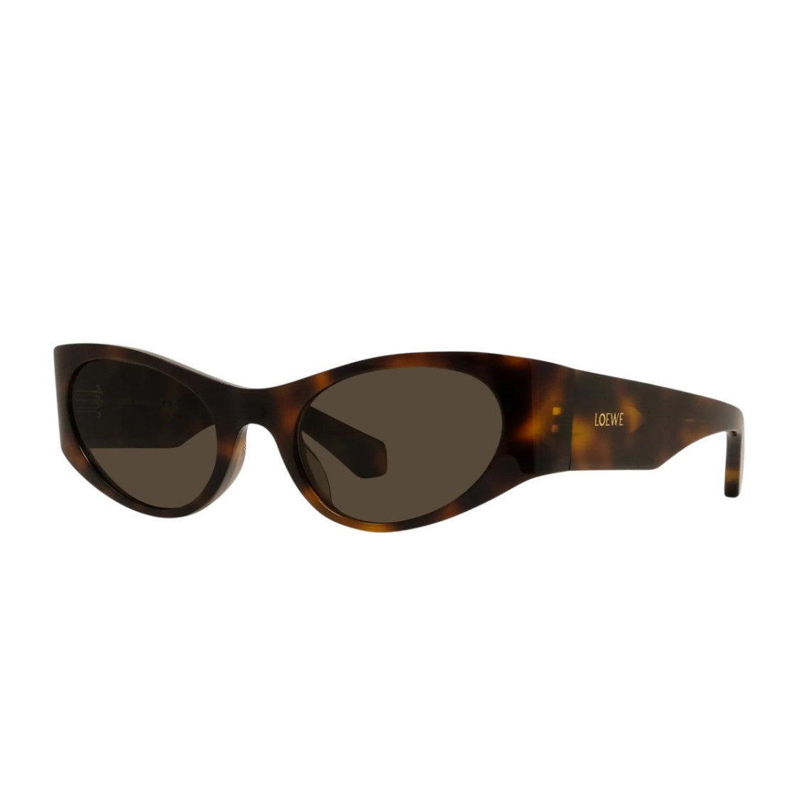 Loewe Havana Retro Oval Acetate Sunglasses