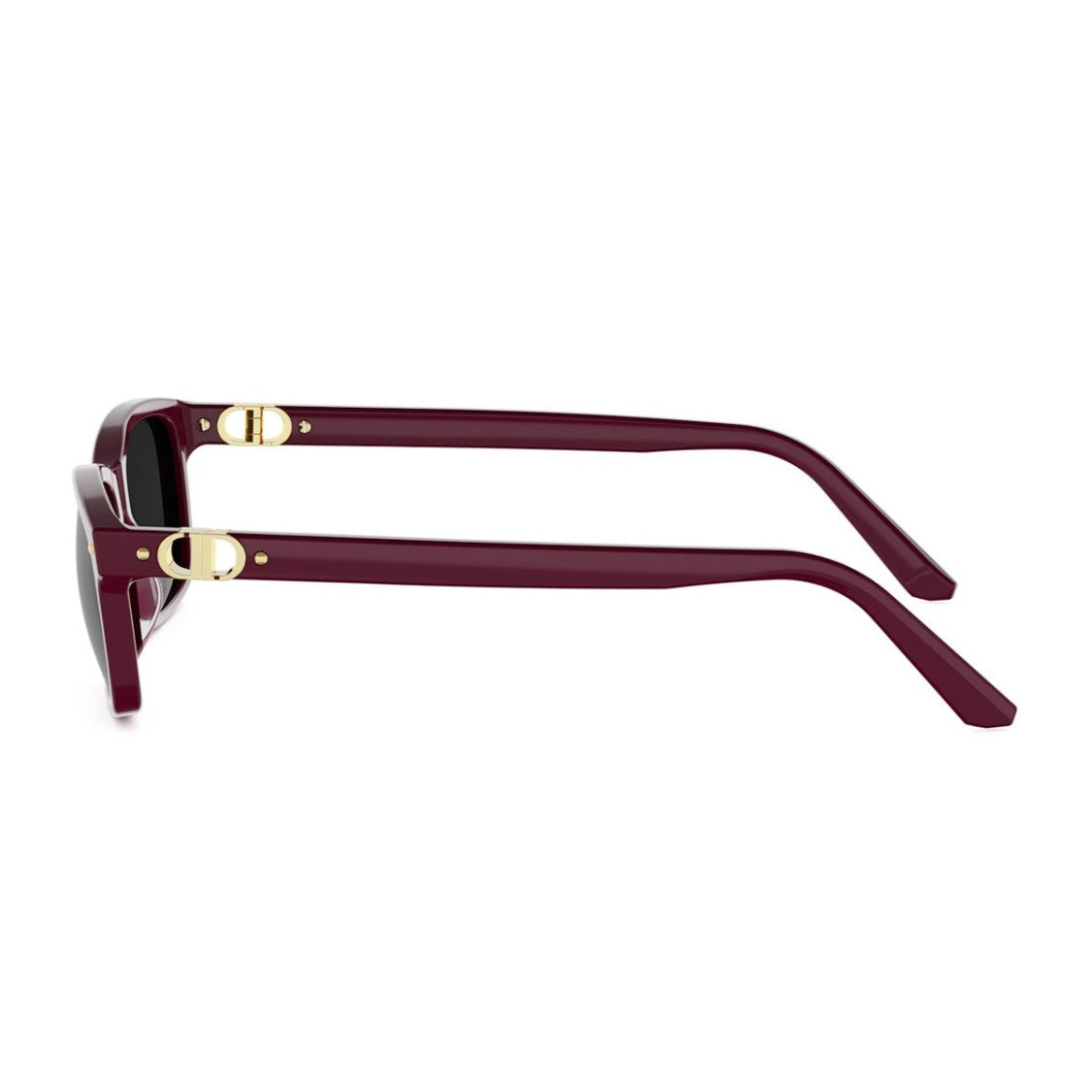 Dior Bordeaux Petit Cd S1i Rectangular Sunglasses