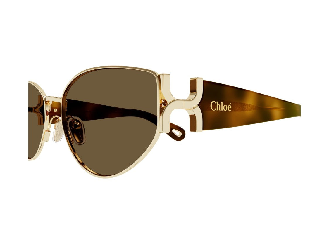 Chloé Ch0260s Tortoiseshell Bold Cat-Eye Sunglasses