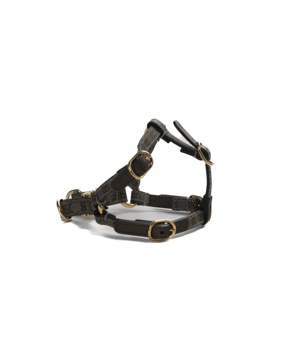 Gucci Brown Gg Supreme Dog Harness