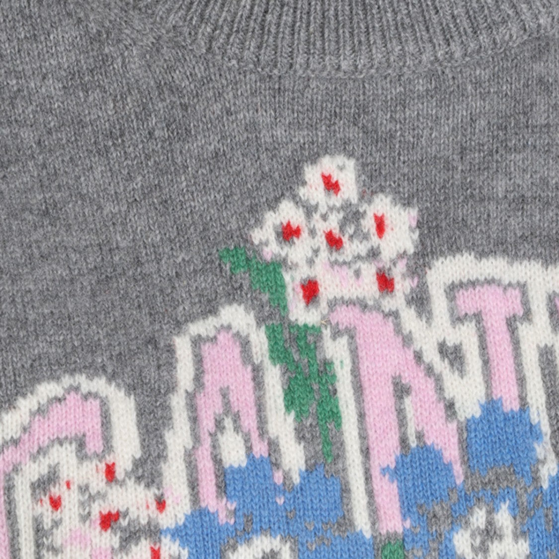Ganni Sleeveless Knit Sweater Vest With Floral Graphic