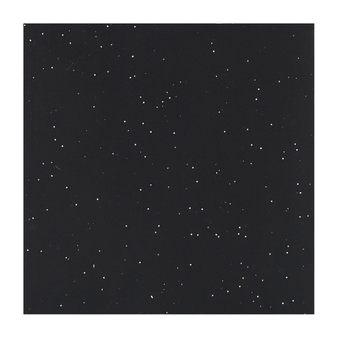 Faliero Sarti Rectangular Wool Scarf With Fringed Edges And All-Over Sequin Embellishment
