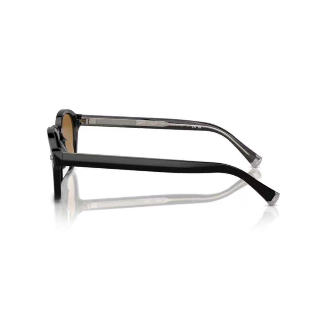 Brunello Cucinelli 0Bc4006s Classic Rounded Acetate Sunglasses With Gradient Lenses